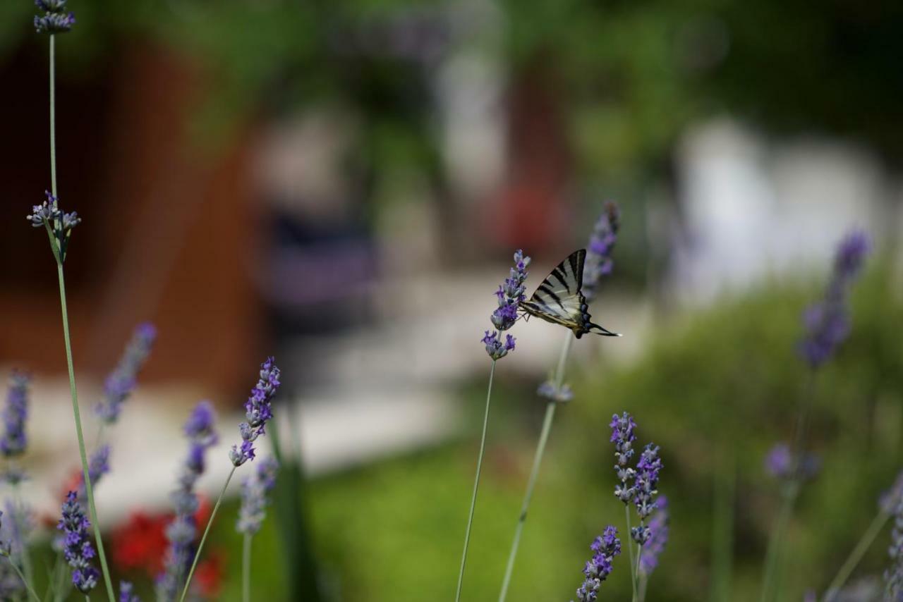 Apartmani Loreta Mali Losinj Bagian luar foto